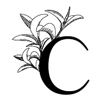 Parrainage La Canopée