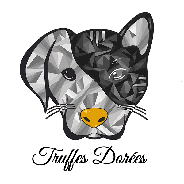 Parrainage Truffes dorées